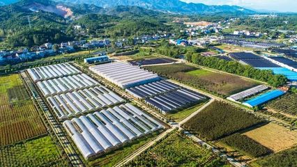 萬秀園:科技領航,生態(tài)農(nóng)業(yè)