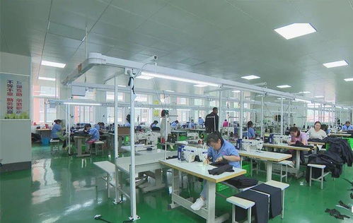 照金村社區(qū)服裝廠扎實做好穩(wěn)就業(yè)工作丨耀州故事之脫貧故事 193